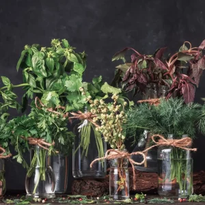 Cómo Conservar Las Hierbas Frescas